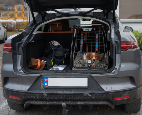 Artfex Medium Lav Coupé I Jaguar I-Pace