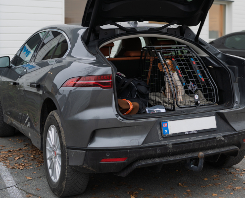 Artfex Medium Lav Coupé I Jaguar I-Pace