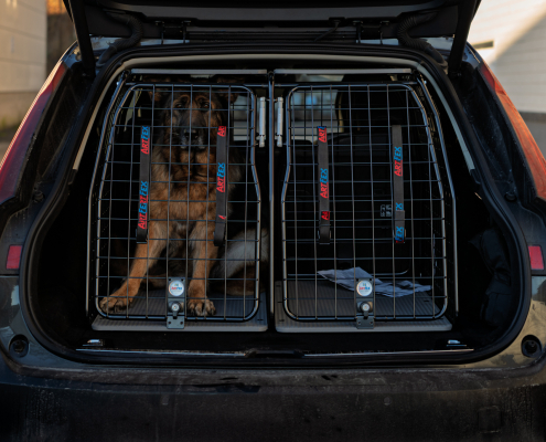 Artfex Dobbelt Hundebur i Volvo V90