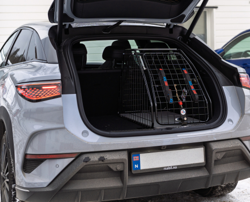 Artfex Medium Lav Coupé I BYD Sealion 7