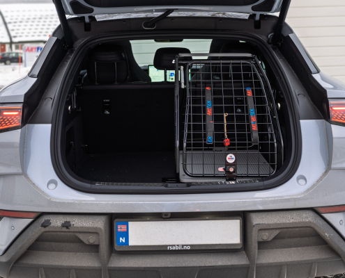 Artfex Medium Lav Coupé I BYD Sealion 7