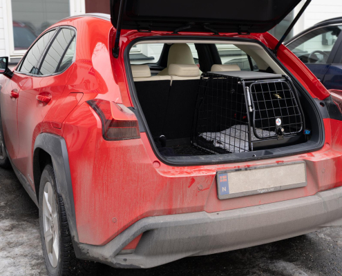 Artfex Small LT i Lexus UX300E