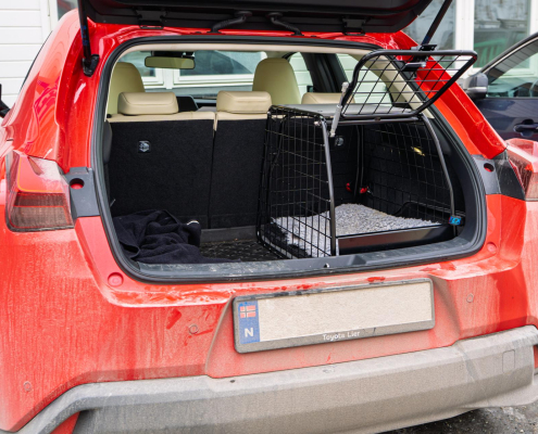 Artfex Small LT i Lexus UX300E