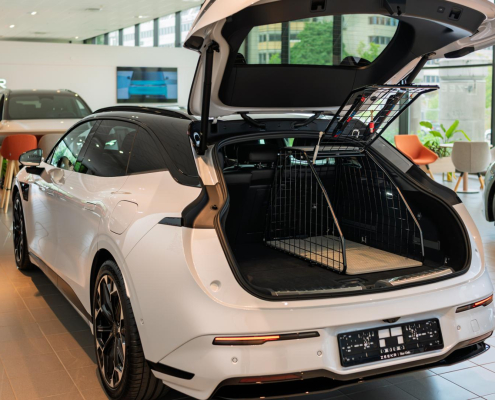 Artfex Medium Lav Coupé I Zeekr 7GT