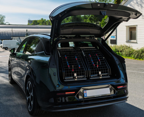 2 stk Artfex Medium Lav Coupé i Zeekr 7X.