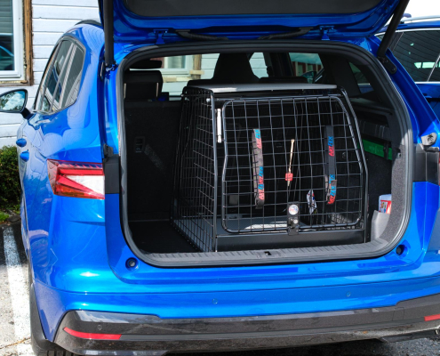 Artfex Medium LT i Skoda Enyaq